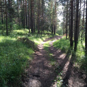 Дорога к святому источнику